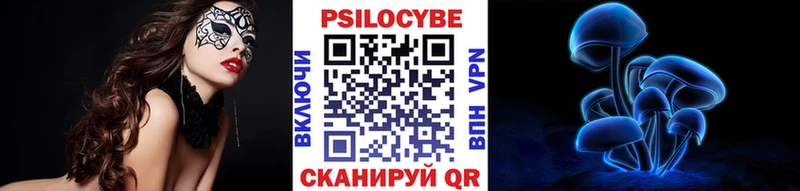 Псилоцибиновые грибы Cubensis  omg как зайти  Ардон 
